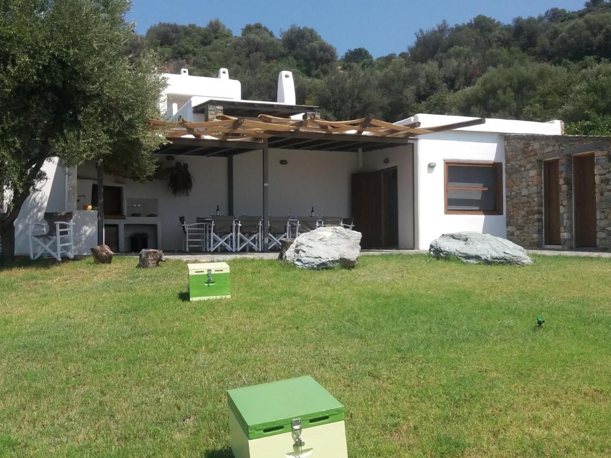Skinammos Eco Villas Marmari  Kültér fotó